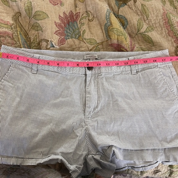 Target Collection Shorts - Picture 6 of 7